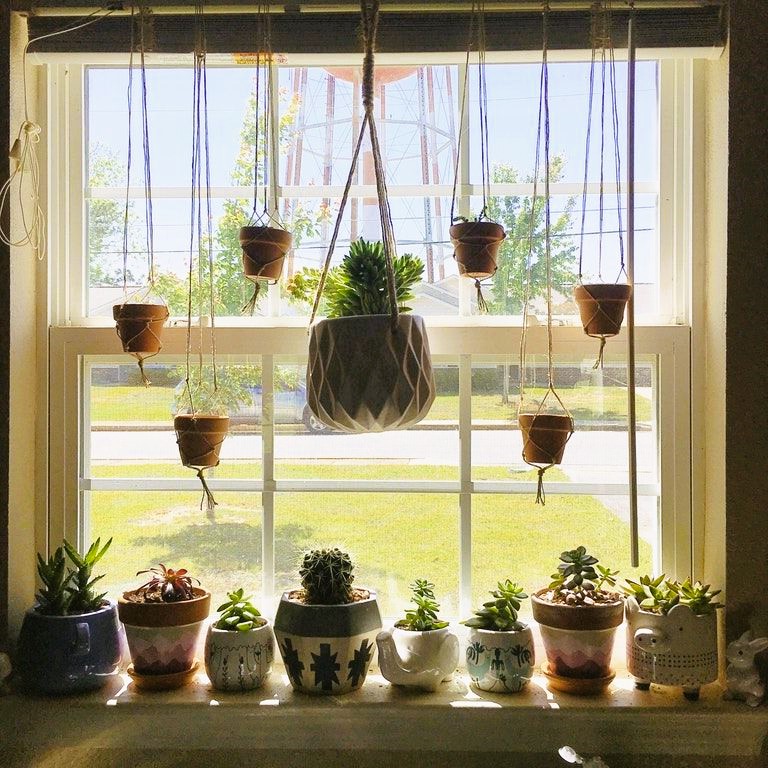 Window design with plants
